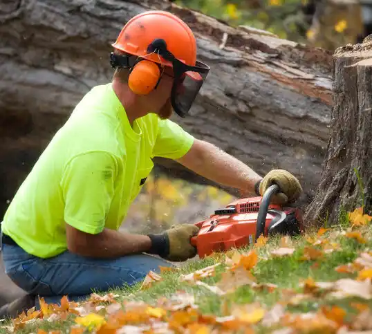 tree services Ocean Springs